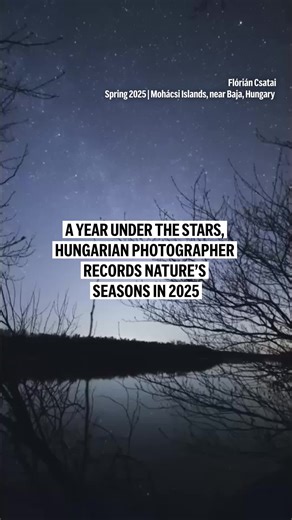 Young Hungarian astro-photographer Flórián Csatai created a time-lapse video over the year showing changes in nature below the starlit sky. In 2025 he spent a total of 66 nights outdoors until mid-December. #hungary #photos #seasons