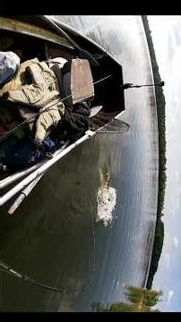 40" Musky (May 2024) #musky #muskyfishing #michigan #puremichigan #fishing