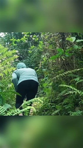 Bushcraft and Country Life Tips for Single Moms