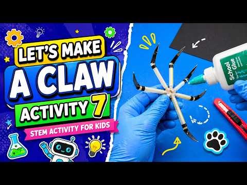 STEM Robotics Programs for Kids | LETS MAKE A CLAW