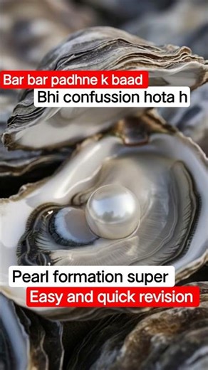 Pearl formation in oyster | Mollusca zoology short #shorts #facts #shortvideo #science