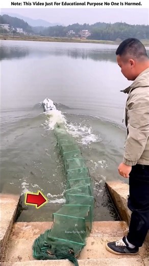 Caught the Fish by Setting Net in Boat 🎣