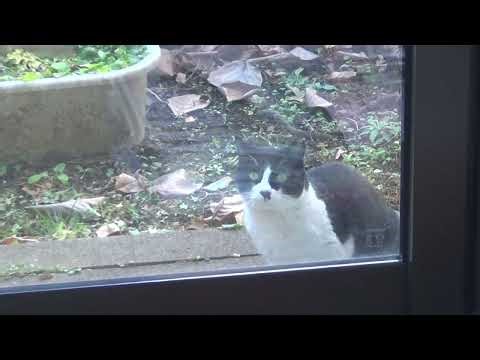 A Junior lookalike but too fat for the Junior 20260102 143822 (1).m2ts