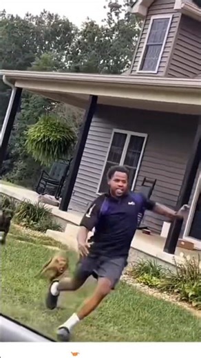 When Dogs Chase The Delivery Guy! 🐕💨