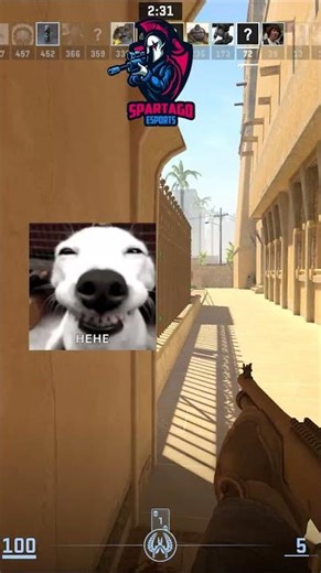 Inducing Widespread Misery In Counter-Strike 2 🥶 RTX 4070 SUPER DLSS 4K UHD HDR #SPRTGO-DREAM