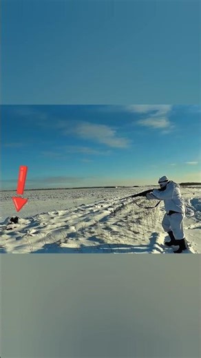 Massive Rabbit Hunting in Snow – Perfect Precision Shot 🐇🔥 #кролик #охота #hunting #wildlife