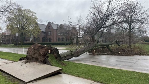 Trees toppled, We Energies reports thousands of power outages in SE Wisconsin