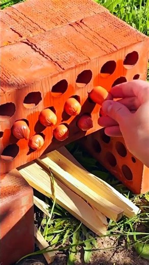 This Campfire Sausage Trick Is Pure Genius 🌭🏕️