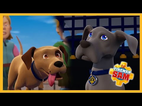 Nipper, meet Shadow! 🔥 Fireman Sam Season 13 Dog Episodes