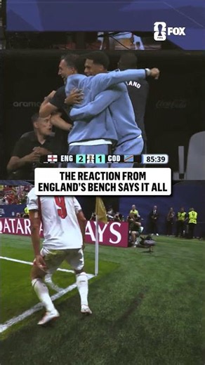 England's bench celebrates Harry Kane's greatness