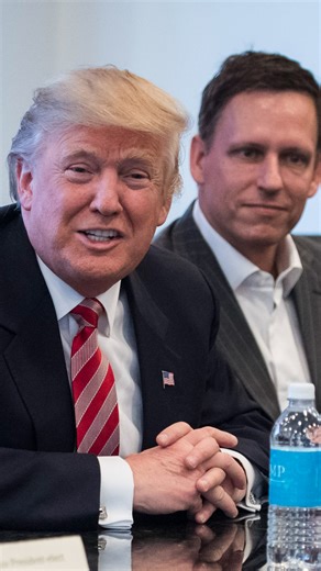 NowThis Impact on Instagram: "Meet Peter Thiel, co-founder of Palantir — the tech company Trump has enlisted to build the largest government surveillance system in U.S. history."