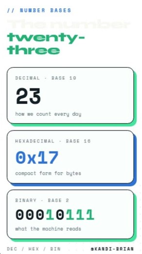 Number Twenty Three in Binary, Hexadecimal, and Decimal