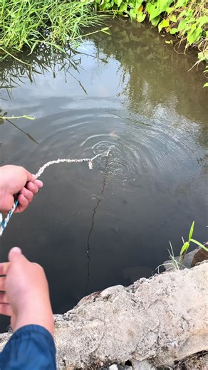 Search megalodon #fishing #fishinglife #fishermen #fish #usa | fishing