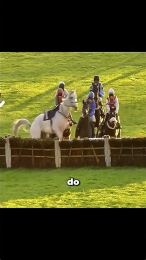 The horse had other plans