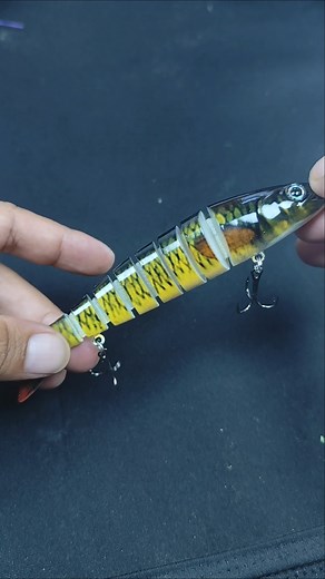 Minnow Lure Knot Tips — Small Detail That Gets More Strikes