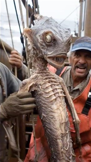 Fishermen Reel In Shocking Alien Sea Creature From Arctic Waters