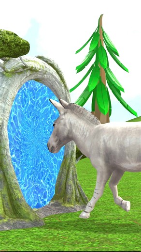 Cute Animal Cartoons for Kids