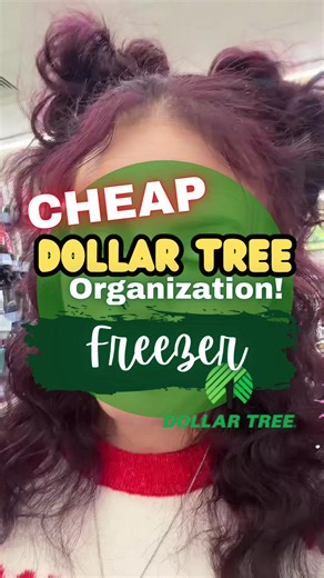 Simple Dollar Tree Organization Hacks for Every Room