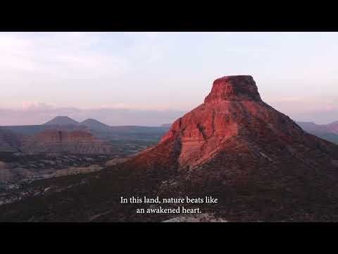 Nature in Mexico (English subtitles)