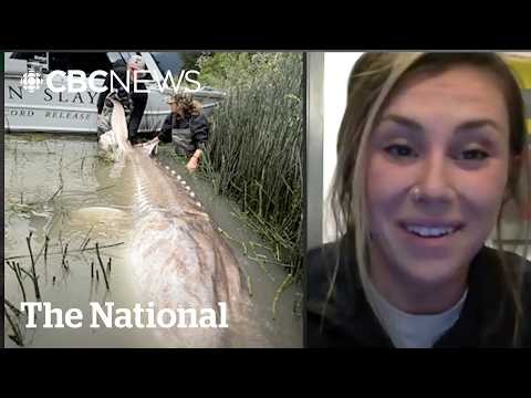 'Still in shock': Female angler catches monster sturgeon in B.C. | The Moment