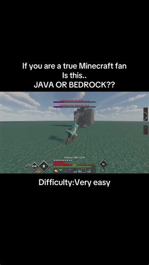 Minecraft Java vs. Bedrock: An Easy Challenge