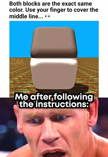 Mind-Bending Optical Illusions That Will Shock You