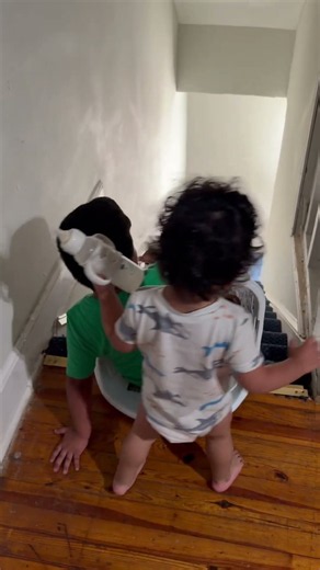 Big Brother Rides Laundry Basket Downstairs and Toddler Follows