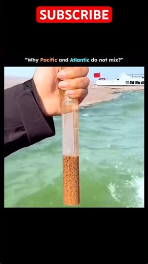 Do Pacific and Atlantic Really Not Mix? 😳 The Truth!