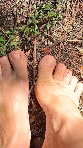Walking barefoot in the forest 🌲👣🌲