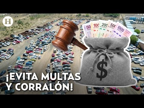 ¡Doble Hoy No Circula! Estos autos NO circulan por contingencia en CDMX y Edomex