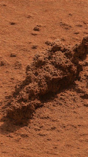 At first glance, this strange shape on Mars looks almost like something artificial—but it’s actually a natural rock formation sculpted by millions of years of Martian weathering. The red arrow highlights a rough, elongated clump of soil and rock formed as wind slowly eroded the softer material around it, leaving behind a raised structure. #Mars #MarsMystery #NASA #fblifestyle #redplanet | Mars journey