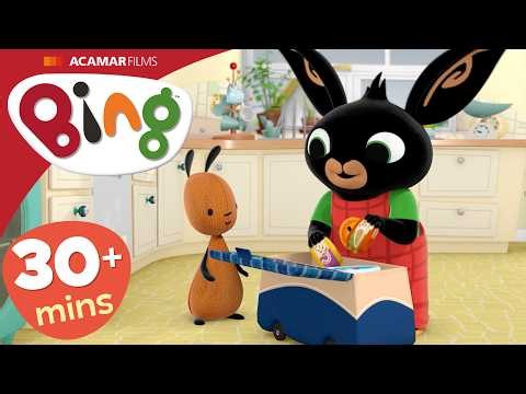 Picnic, Music & MORE | ⭐ Bing Full Episodes ⭐ | Bing USA Official Channel 🇺🇸