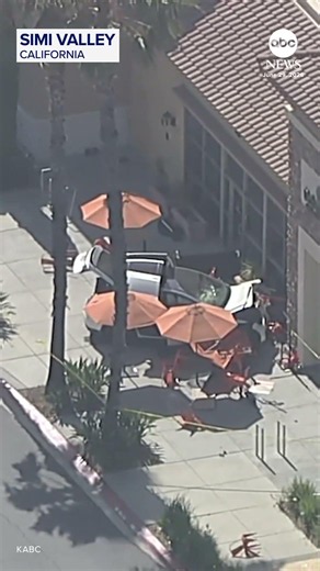 Woman killed after Tesla driver crashes into cafe’s outdoor seating