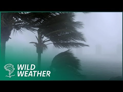 Inside the Eye: Chasing Deadly Hurricanes for the Perfect Shot