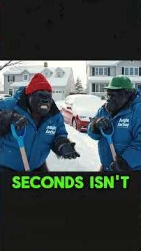 Funny Gorilla Comedy Compilation: Marriage Jokes, Bar Humor & More! | Jungle Anchor