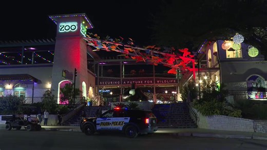 Two people were stabbed after a fight in front of the San Antonio Zoo | WATCH | News 4 San Antonio