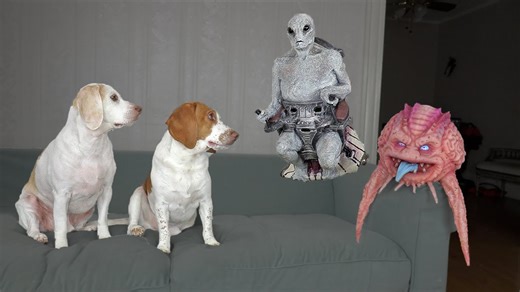 Dogs steal UFO during alien invasion prank and investigate