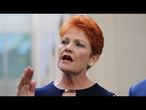 Support for One Nation falls in latest Newspoll