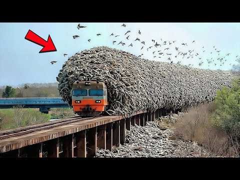 Strange Things Happening Right Now Around the World | One In a Billion Moments In Nature #9