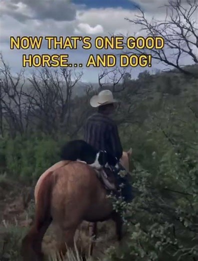 Private Western Horseback Ride in the Roaring Fork Valley | Crown Mountain Outfitters