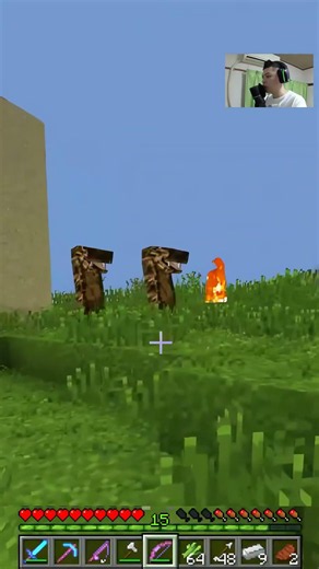ELA ESTAVA ME OBSERVANDO ESCONDIDA — Minecraft