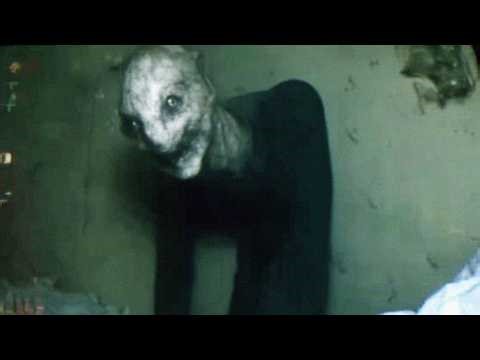 The Most Bizarre Mysterious Creatures Ever Captured on Video