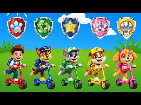 PAW Patrol and Friends Color Learning, Shape Matching & Dress Up Play PAW Patrol Scooter