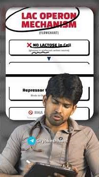 Lac Operon | Molecular Basis Of Inheritance Class 12 #dryokesharul #youtubeshorts #biologyrevision