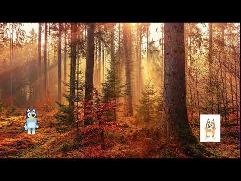 Bluey Lofi 🍂 | Cozy Fall Music • 12 Hour Loop