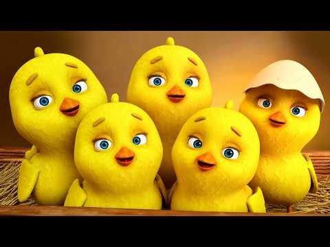 🐤Cinco Pollitos + Los Pollitos Dicen + La Vaca Lola - Canciones Infantiles - LooLoo