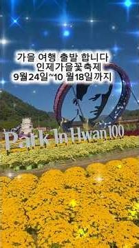 이런풍경은직접봐야제맛이죠 #인제가을꽃축제 #인제여행 #가을꽃 #강원도여행 #꽃축제