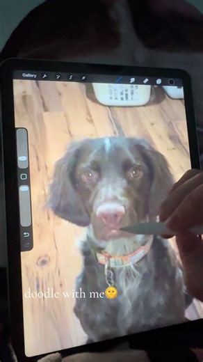 Doodle with Me: Procreate One-Line Drawing