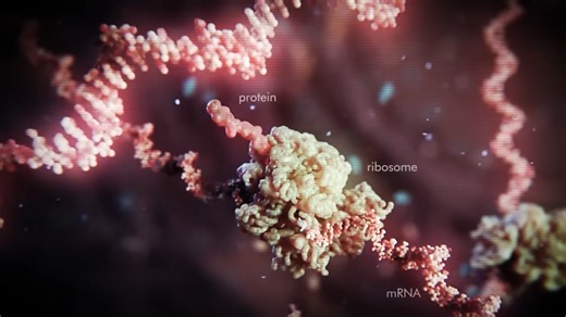 We assumed aliens would have DNA — then biology got much stranger