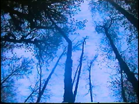 Tuesday_Tapes | Broadcast Intrusion 2